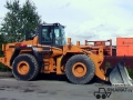 Case 821C